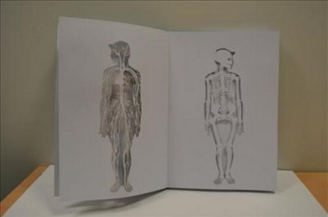 Dessin anatomie