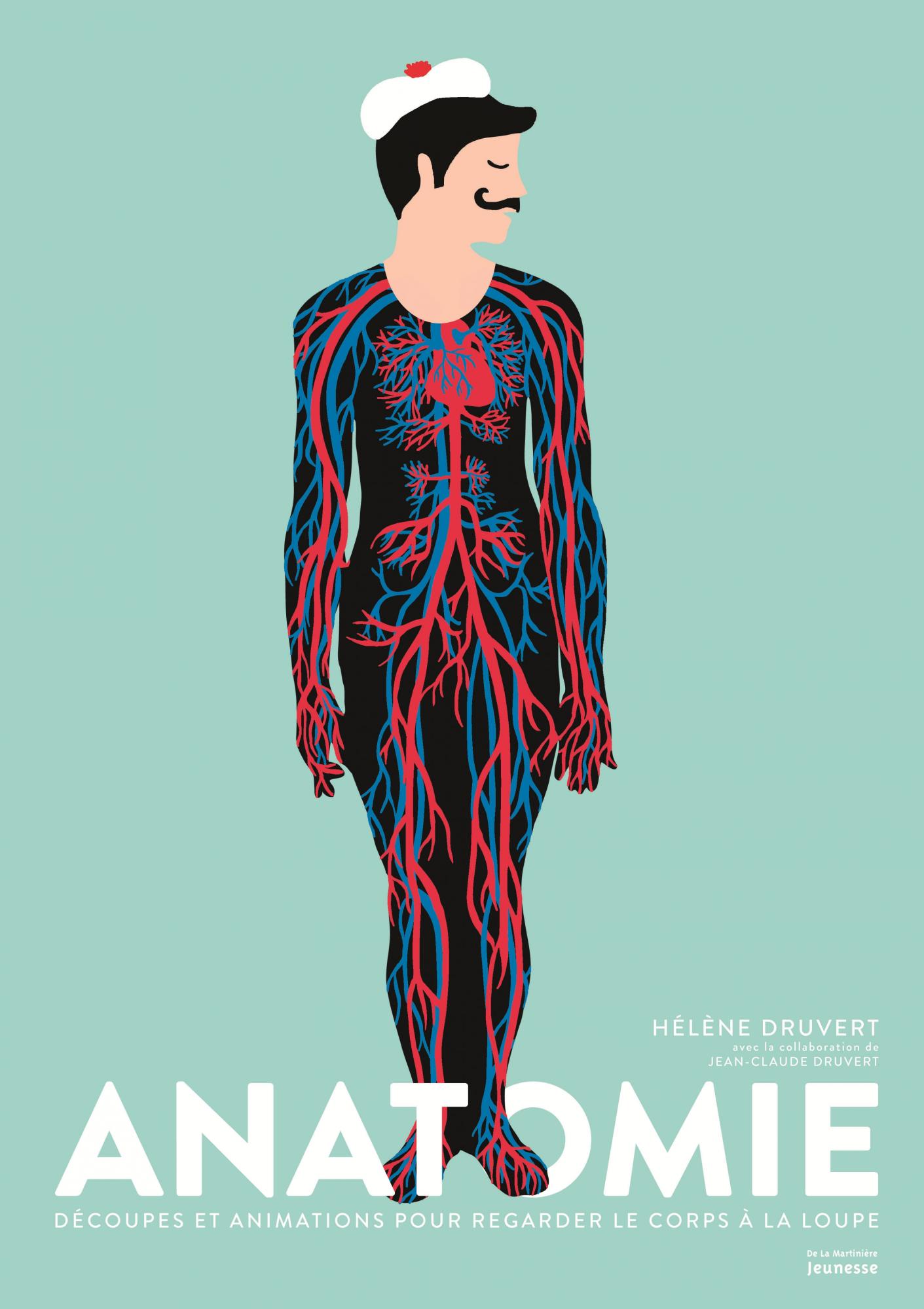 Anatomie de Druvert
