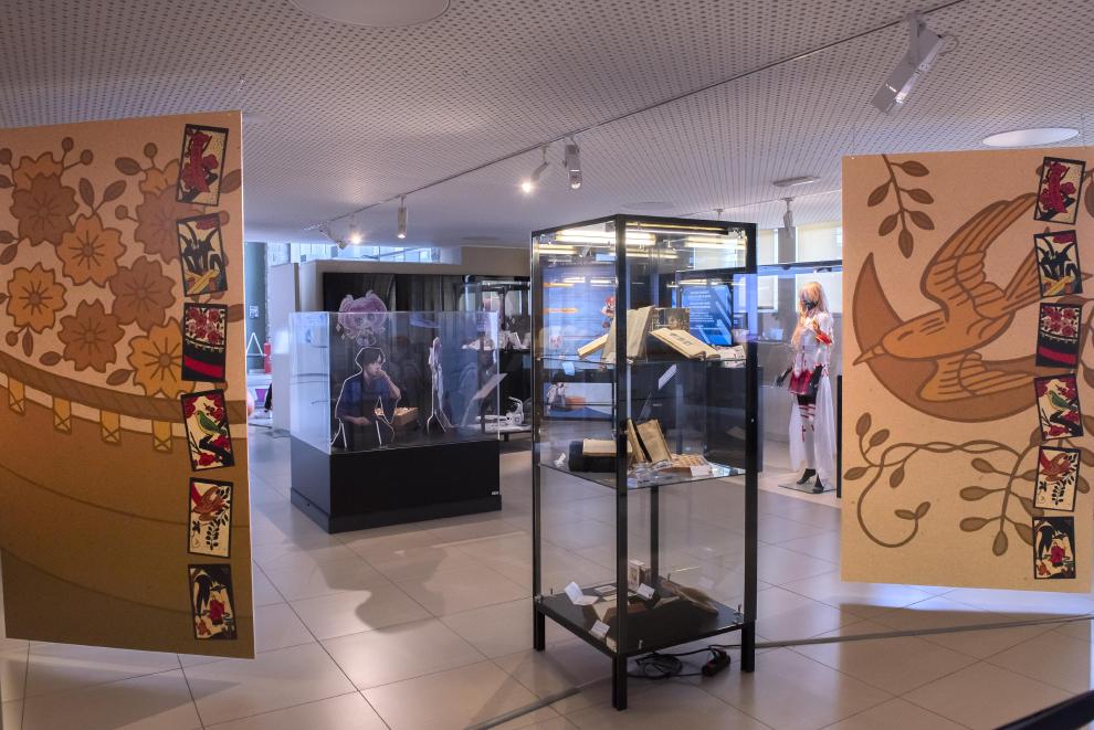 Photo exposition Festival Science et Manga 2025
