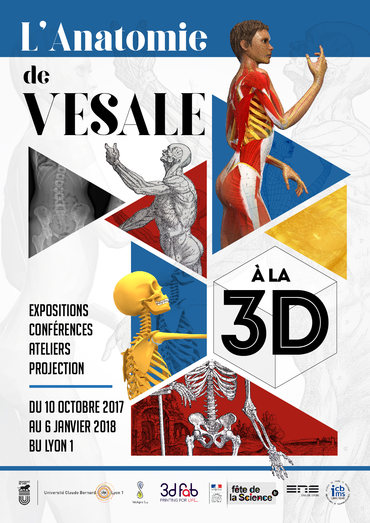 Affiche FDS