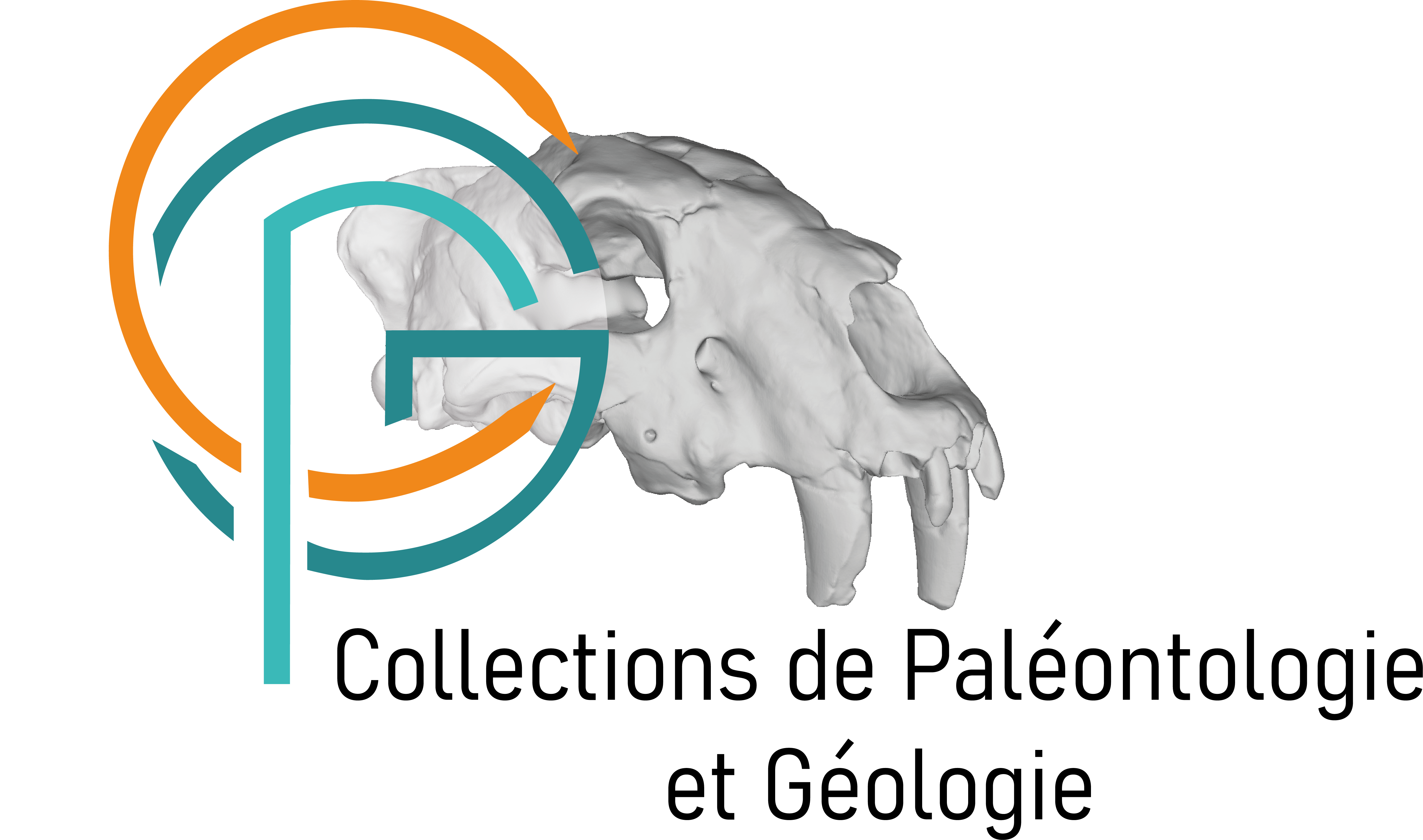 Logo paleo