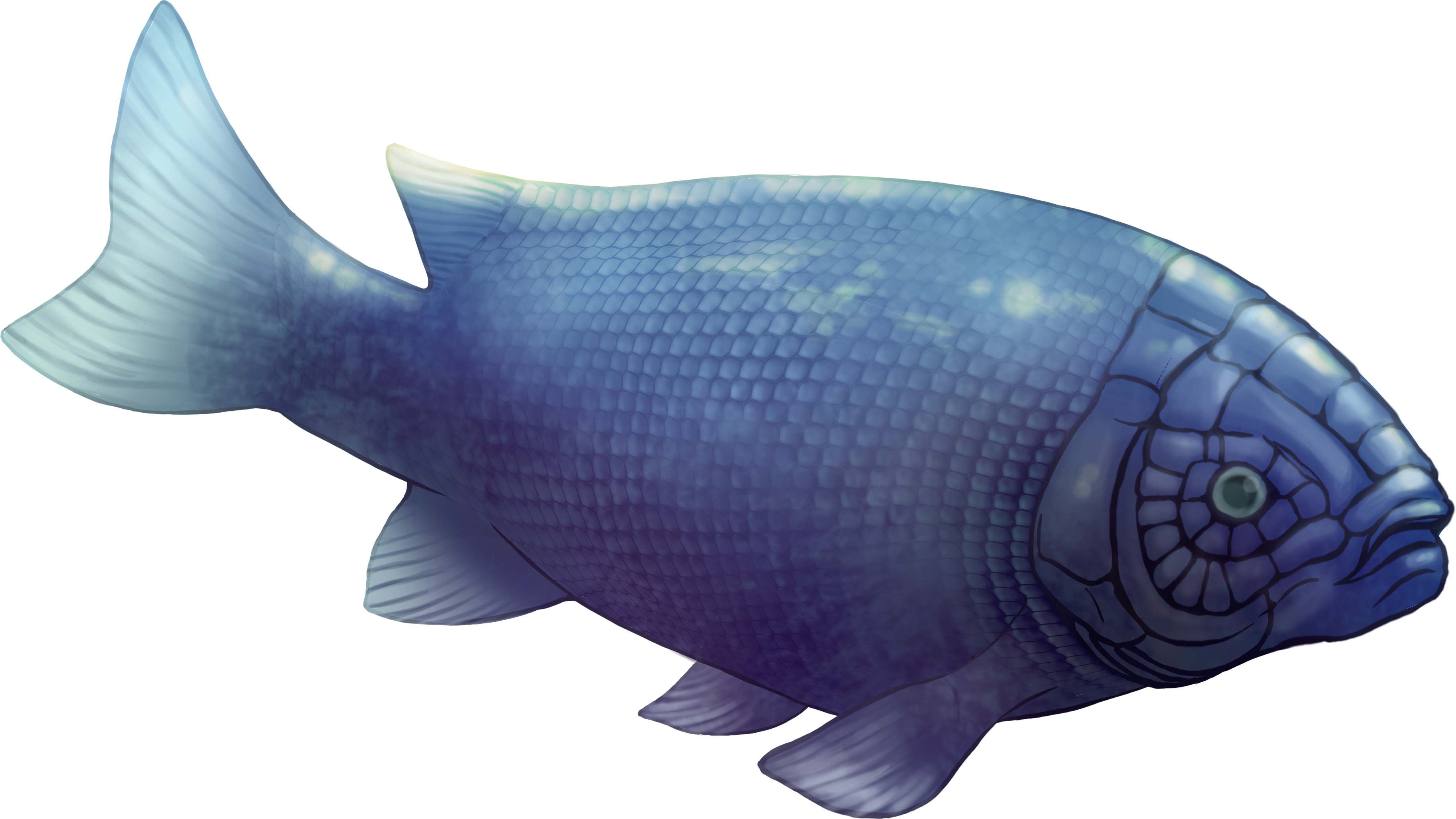 poisson