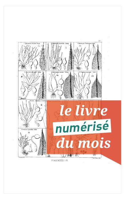 Accès Livre numérisé du mois Iconographie des mousses de Rodolph Kleinhans