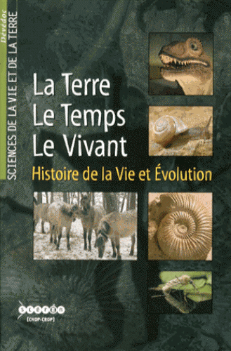 Terre