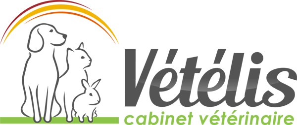 Vetelis Logo